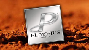 Player's group